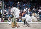 Pferd International 117